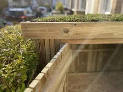 Green roof on a bike shed